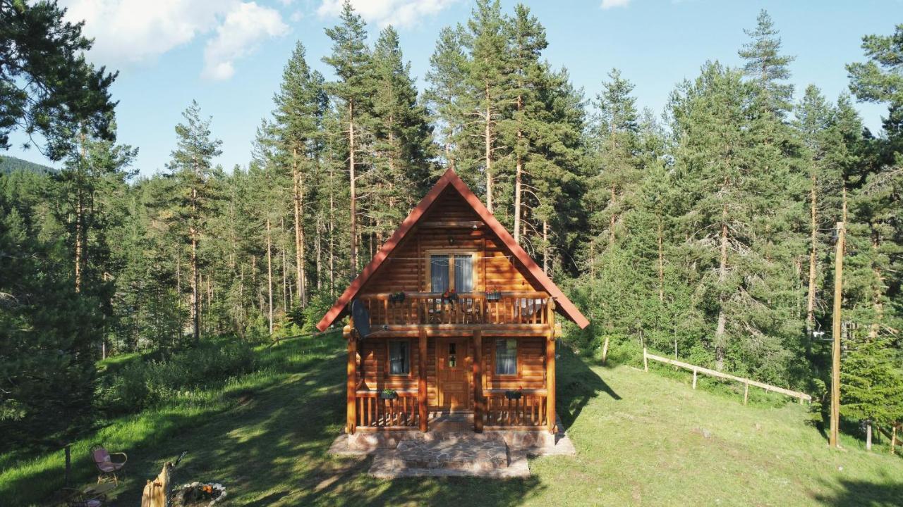 Holiday Home Aster Žabljak Eksteriør bilde